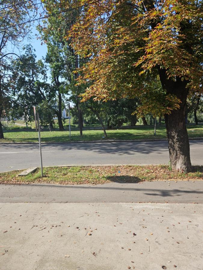 Laci Lak Premium Apartment Oradea Ngoại thất bức ảnh